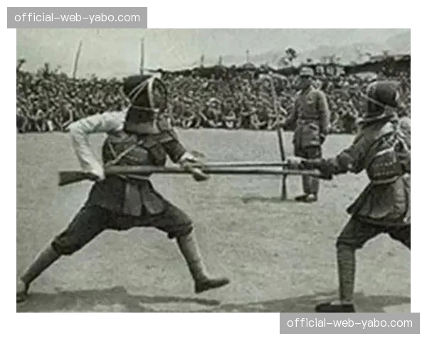 荷兰日本瑞典突尼西亚捉对厮杀，蓝武士传控压制北欧海盗